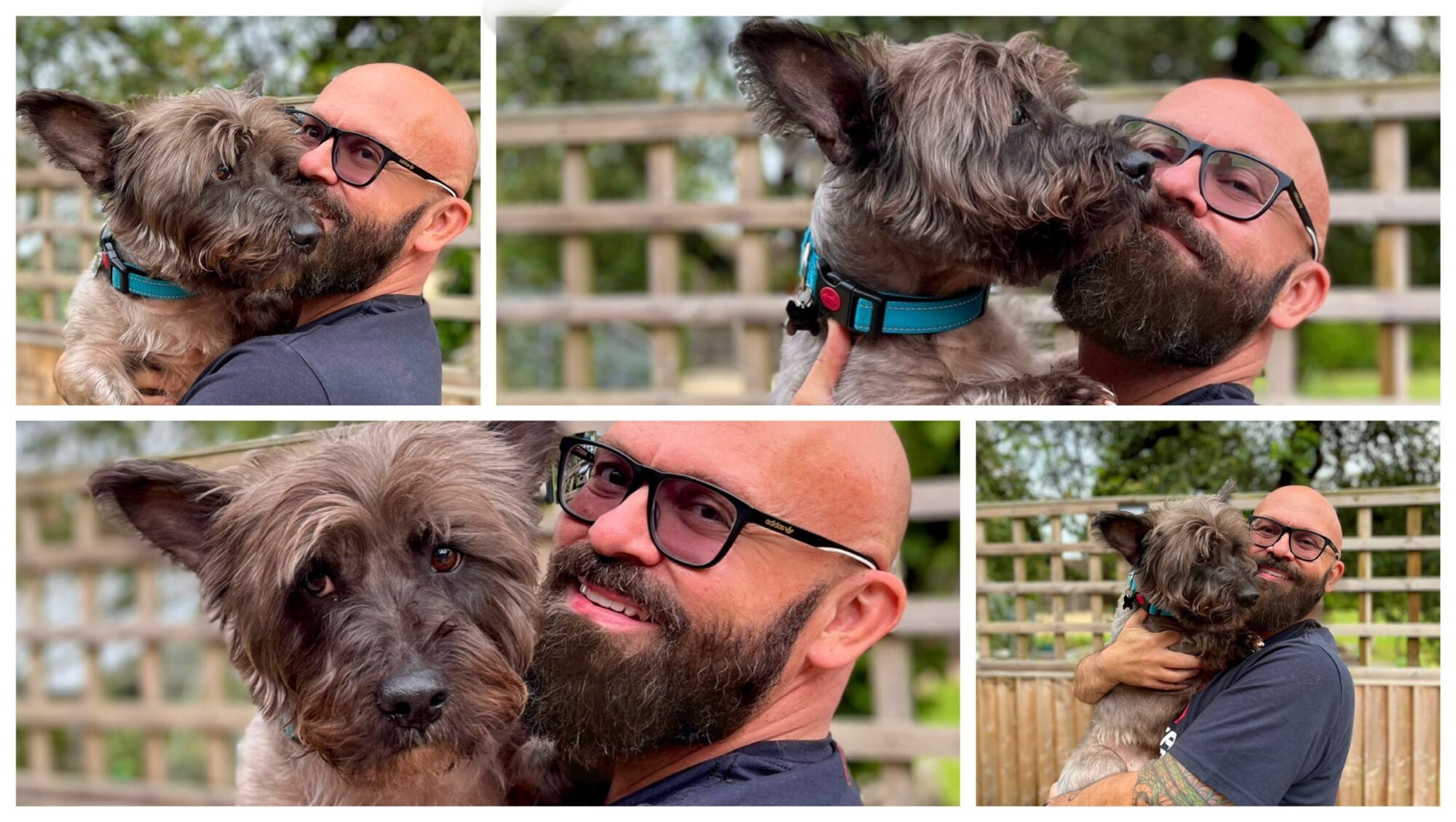 5 lessons from rescuing a dog (and how they apply to your life ...